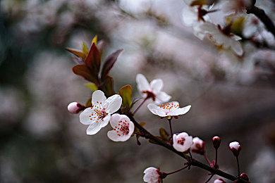 第三人称动作新游《The Moon Hell》上架Steam 黑暗幻想风